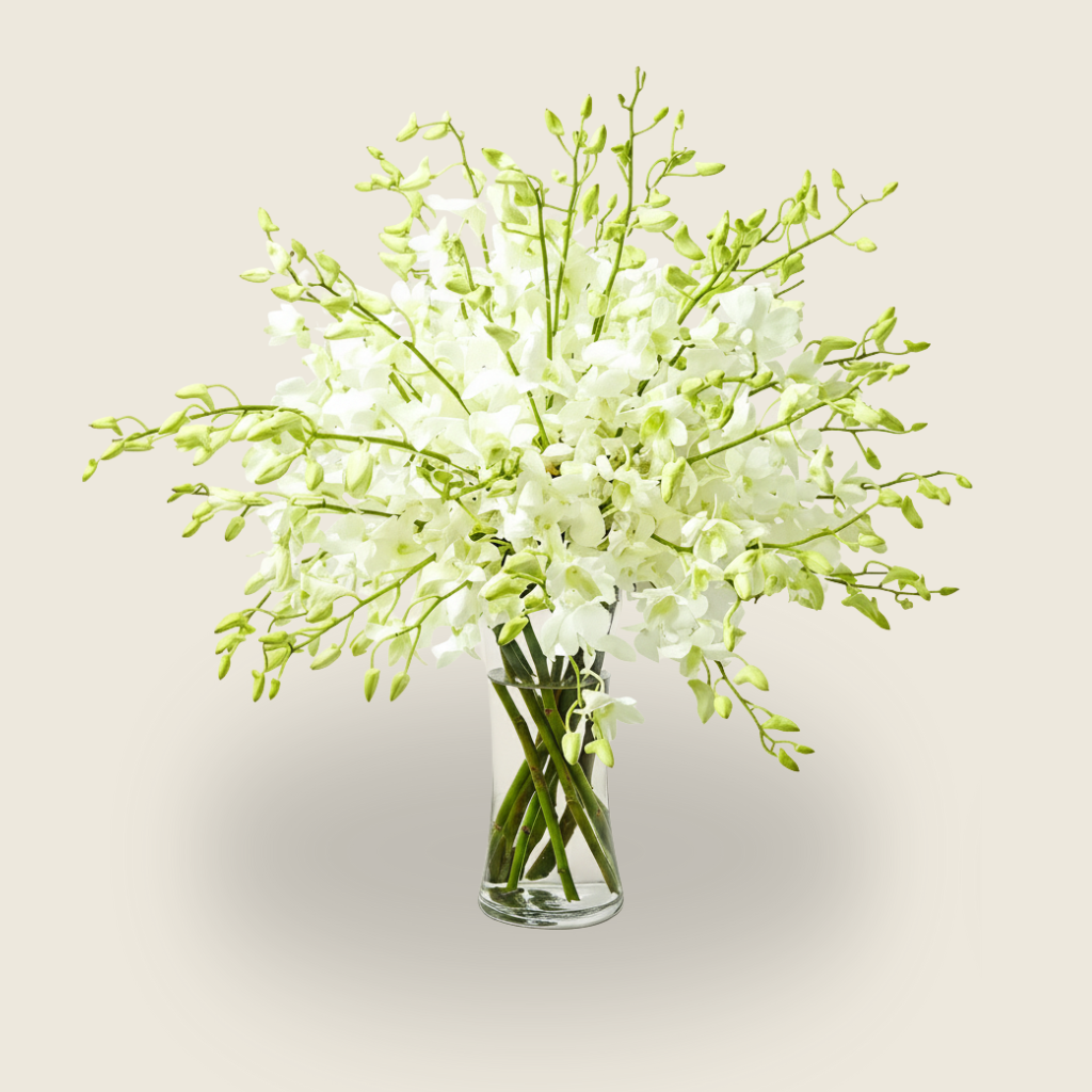 White orchid condolence vase arrangement