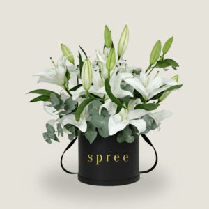 White lily condolence arrangement in round box