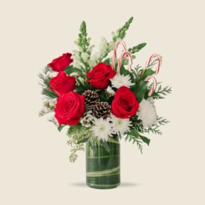 7. Sugarcane & Cedar