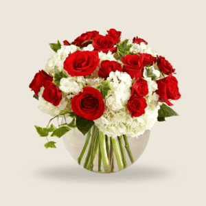 Elegant vase of red roses and white hydrangeas for romantic gifting