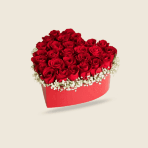 Heart-shaped box of red roses with baby’s breath border