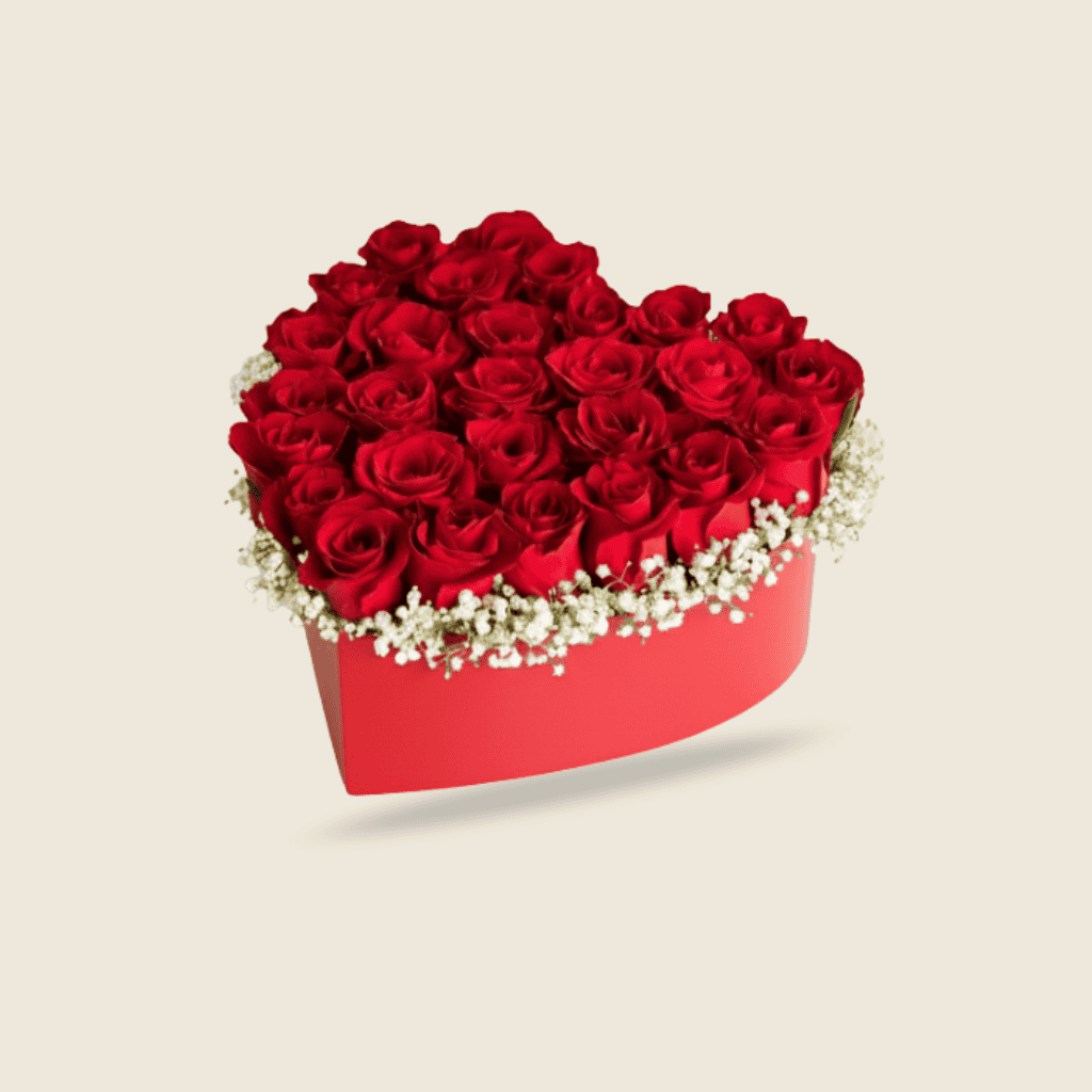 Heart-shaped box of red roses with baby’s breath border