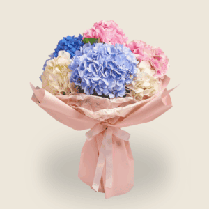 Pastel bouquet of hydrangeas in pink, blue, and white
