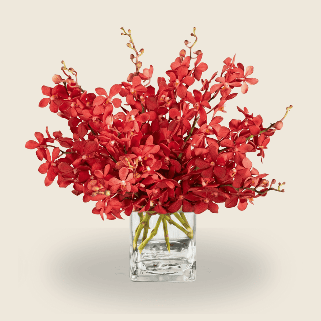 Vase arrangement of red orchids for modern floral gifting