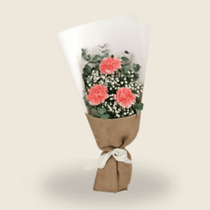 Petite pink carnation bouquet with gypsophila and eucalyptus