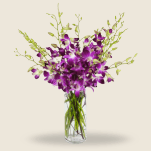 Purple orchids in a tall glass vase
