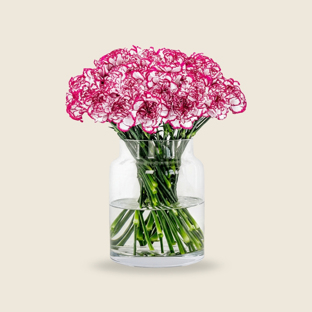 Dual-tone carnation stems