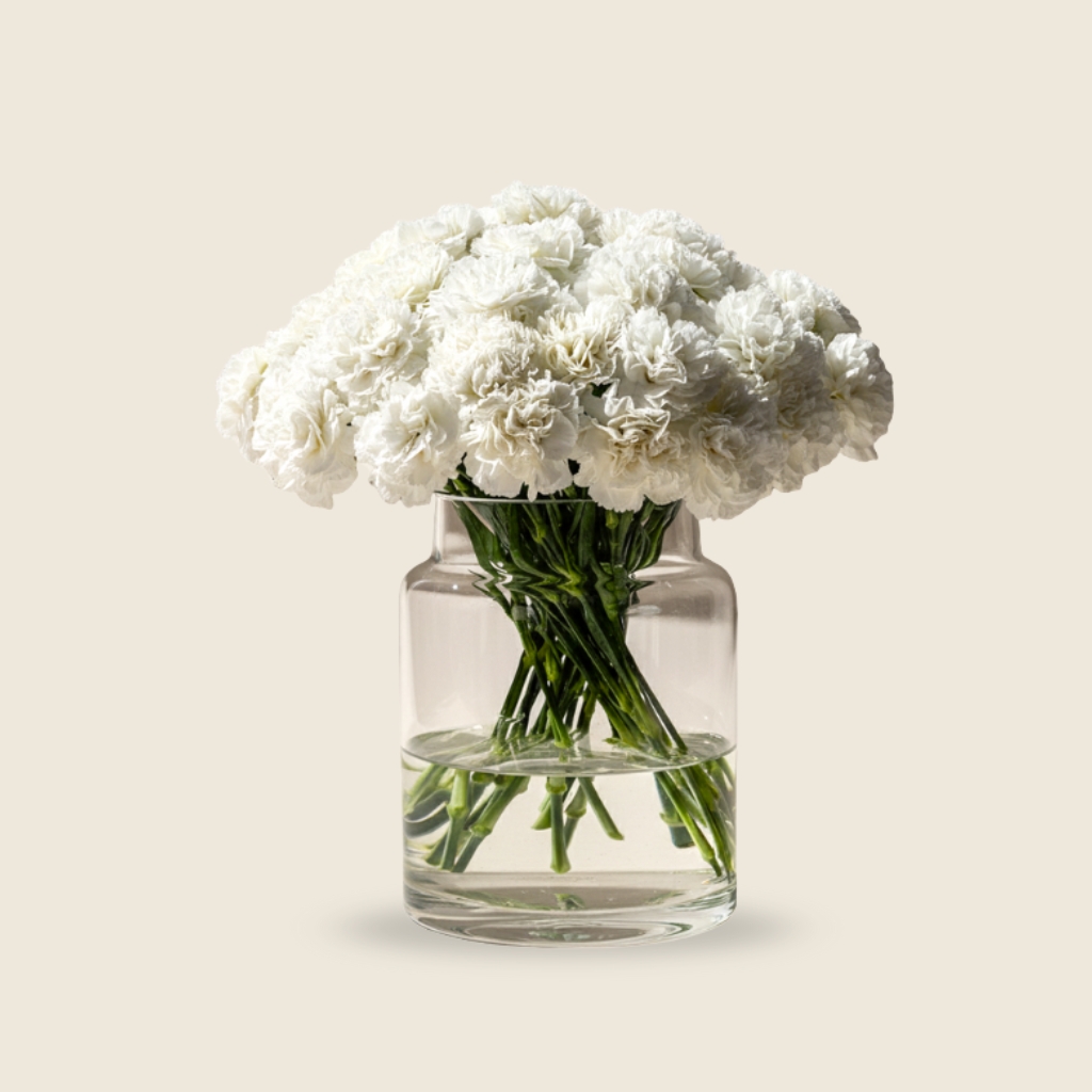 White carnation stems