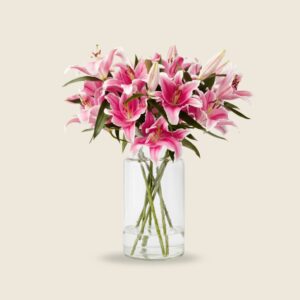 Pink oriental lily stems