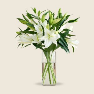 White oriental lily stems