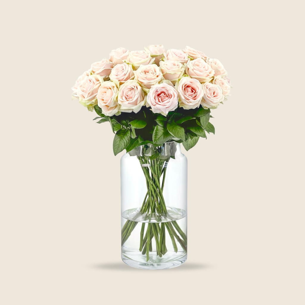 Sweet avalanche rose stems